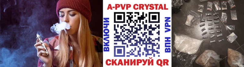 A PVP СК КРИС  Назрань 