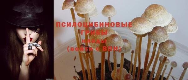 круглые Алексин