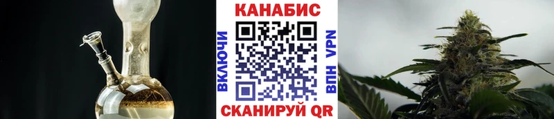 Марихуана сатива  Назрань 